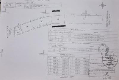 Casă individuală cu 3 camere cu Teren 4200 Mp în Dumbrăveni - 9
