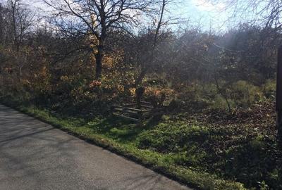 Teren de 5250 mp, în Pădureni (Chinteni) - 1