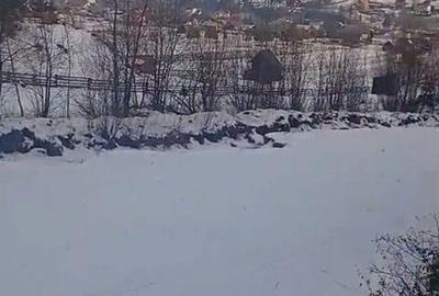 Teren de 8179 mp, în Cârlibaba - 6