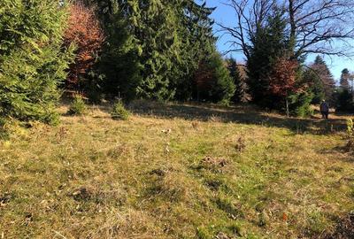 Teren extravilan de 4900 mp, în 13 Decembrie - 11