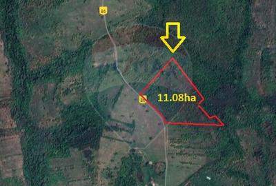 Teren extravilan situat in sat Spata(com. Bara) / Soseaua Principala Teren extravilan situat in sat Spata(com. Bara) / Soseaua Principala - 3