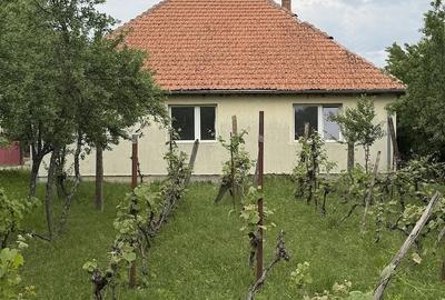 Casă cu Teren 300 Mp în Căpâlna
