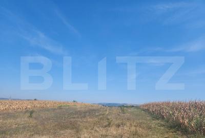 Teren extravilan,parcelat, 10180 mp, Oarda de Jos - 1