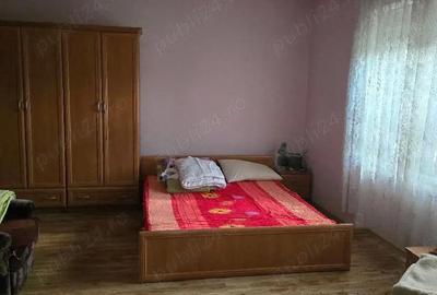 Casă cu 3 camere cu Teren 2500 Mp în Pietroasa - 5