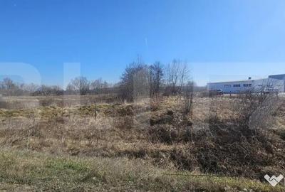 Teren de 3500 mp, în Sântuhalm - 4