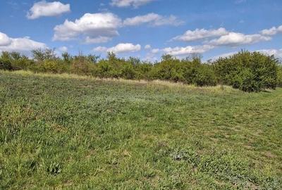 Teren de 1000 mp, în Calea Aradului - 2