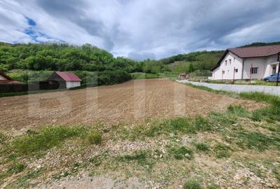 Teren intravilan,2700 mp,Vintu de jos - 1