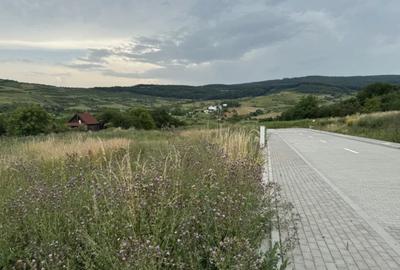 Teren autorizat in Borhanci, Colonia Sopor - 3