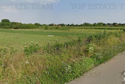 Teren intravilan de 500 mp, în Snagov - 4