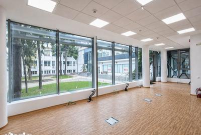 Spațiu comercial, de 236.89 mp, în Grivița - 5