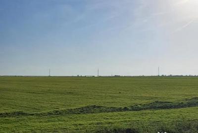 Teren în Agigea - 2