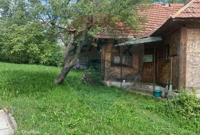 Casă cu 3 camere cu Teren 5472 Mp în Breb - 11