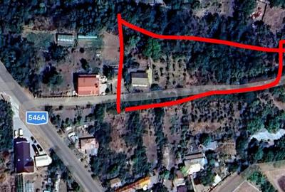 Casă cu Teren 2800 Mp în Văleni - 6