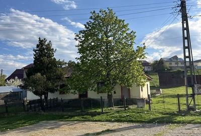 Spațiu comercial, în Ceplenița - 8