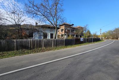 Proprietate deosebită în orașul Ștefănești, intrare pe strada Izvorani - 13