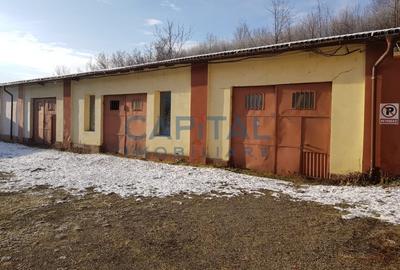 Comision 0%, Hale pentru inchiriat 600 mp - 4