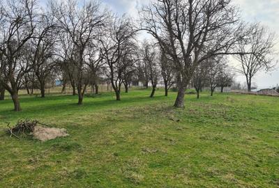 Casă cu 4 camere în Țaga - 2