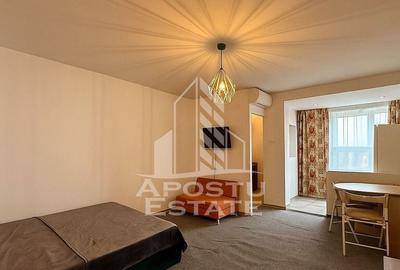 Apartament cu 1 camera, pet-friendly , zona Circumvala?i... - 10