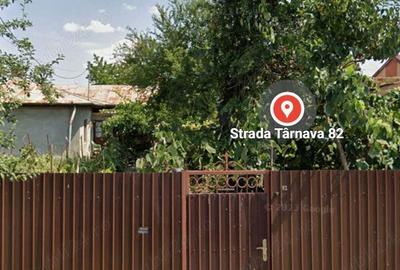 Vand casa batraneasca cu teren in Voluntari str Tarnava - 9