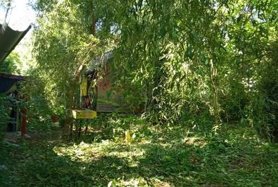 Teren de 1000 mp, în Vărbila - 7