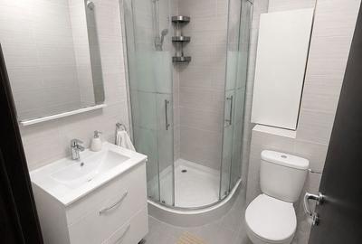 Apartament cu 3 camere decomandat în Theodor Pallady - 9