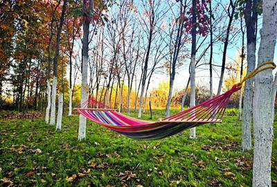 Spațiu comercial, în Băneasa