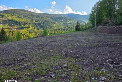 Teren de 6000 mp, în Arieșeni - 15