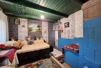 Casă cu 4 camere în Vulturi - 7