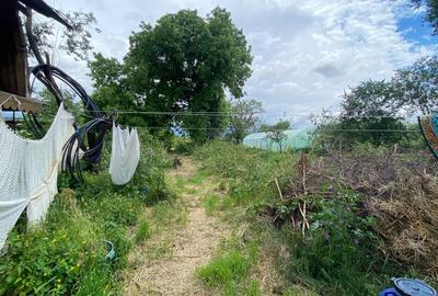 Teren 2133 m² cu utilitati si iesire la drum asfaltat – Clinceni - 12