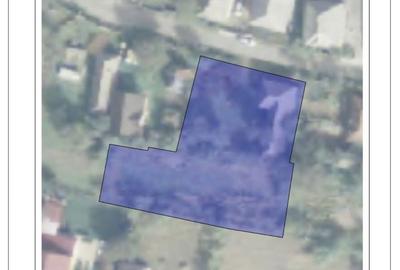 Casă cu 2 camere cu Teren 1700 Mp în Bârsana