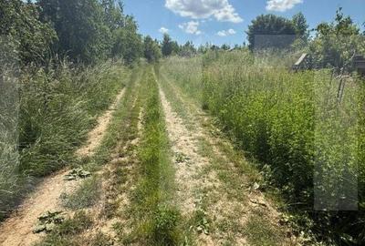 Casă cu 3 camere cu Teren 5550 Mp în Mihai Eminescu - 18