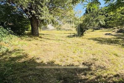 Teren de 3234 mp, în Lerești - 11