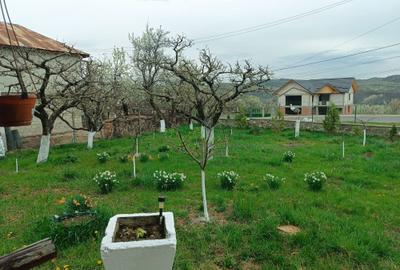 Casă cu 2 camere în Groșani - 1