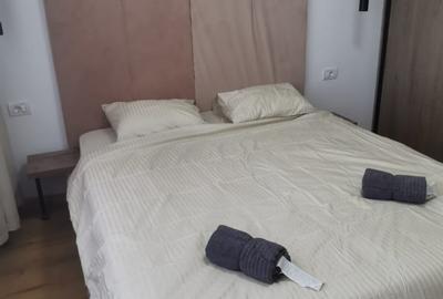 Apartament cu 2 camere semidecomandat, mobilat în Timpuri Noi - 7