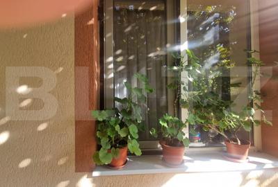 Casă individuală cu 3 camere cu Canalizare în Exterior Vest - 5
