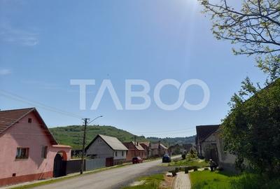 Teren de vanzare 4500 mp in centrul comunei Hamba judetul Sibiu - 8