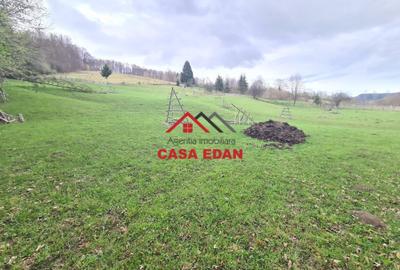 Teren extravilan de 20500 mp, în Valea Doftanei - 2