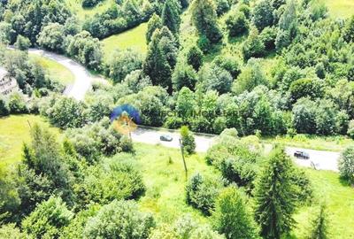 TEREN Izvoru Muntelui, langa orasul BICAZ - 5