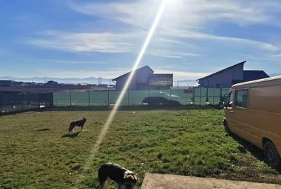 Vând teren Sânpetru Brașov cu utilități - 4