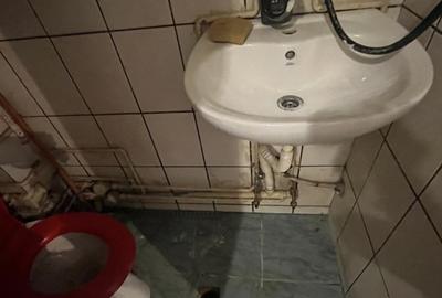 Garsoniera Calea Buziasului - 4