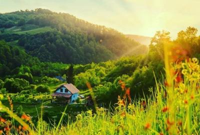 Casă cu 3 camere cu Teren 10000 Mp în Feldru - 2