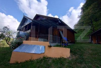 Cabana 3 cam,2 nivele 100 mp+teren extravilan 2,5 ha+1 ha padure,zona Nasaudului - 8