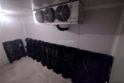 Moldova Noua, Proprietate cu Destinatie Multipla: Hala Productie Procesare a Carnii, Teren Intravila - 18