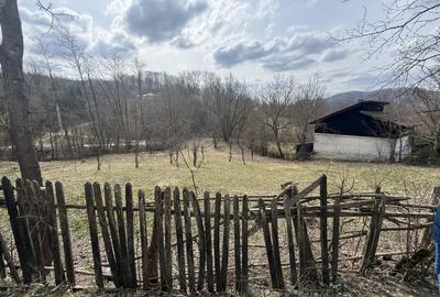 Teren Construcții intravilan de 2100 mp, în Provița de Jos - 2