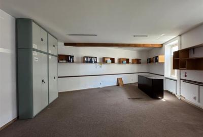 Inchiriere imobil D+P+1+M | 450 mp | Cismigiu - Cazzavillan | - 17