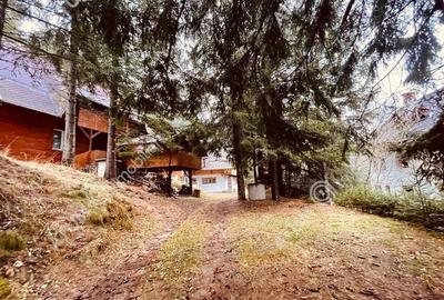 Casa de vacanta/Cabana cu 8 camere de in Paltinis - 2