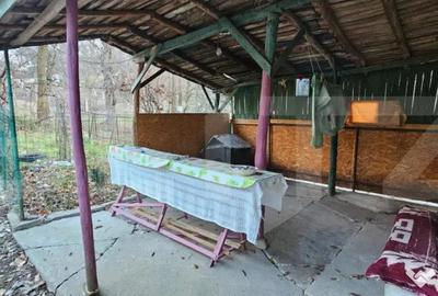Casă cu 2 camere cu Teren 1110 Mp în Bezdead - 9