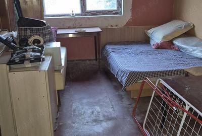 Coiciu - Casa + Teren Coiciu - Casa + Teren - 5