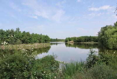 Teren de 40320 mp, în Lucieni - 3