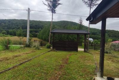 Casa de vacanta , zona Soarecului , Marginea - 20